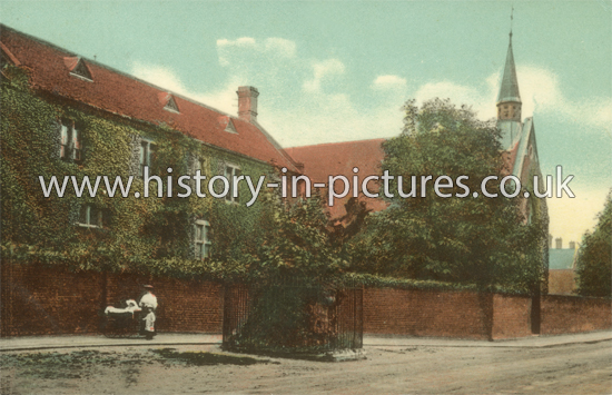 The Martyr's Tree, Brentwood, Essex. c.1908